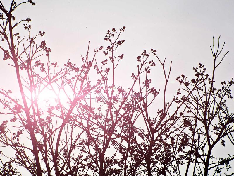 sudoku daily puzzle screenshot 2