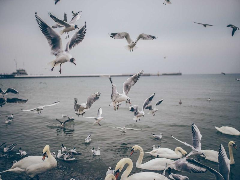 sudoku daily puzzle screenshot 5